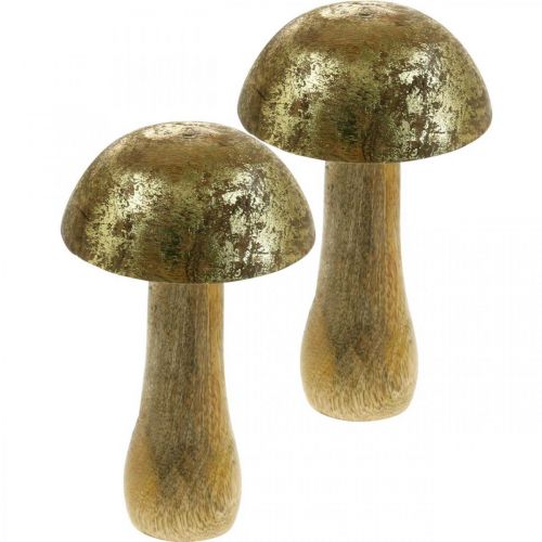 Floristik24 Pilz Mangoholz Gold, Natur Dekopilz Ø9cm H15,5cm 2St