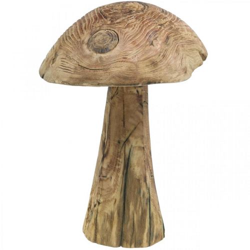 Floristik24 Pilz, Paulownia Holz, Herbst, Holzdeko Ø18–20cm H28cm