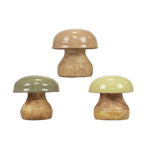 Floristik24 Holzpilze Deko Pilze Holz Deko Beige, Grün Ø5cm H5,5cm 12St