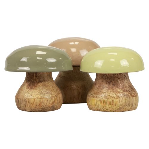 Floristik24 Holzpilze Deko Pilze Holz Deko Beige, Grün Ø5cm H5,5cm 12St