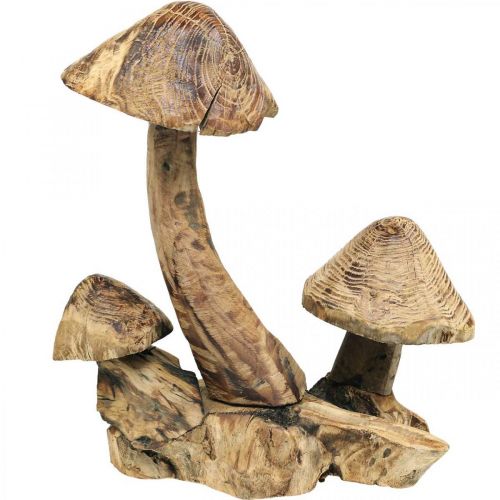 Floristik24 Pilzgruppe, Paulownia Holz, Herbstdeko, Holz-Skulptur H33cm L30cm