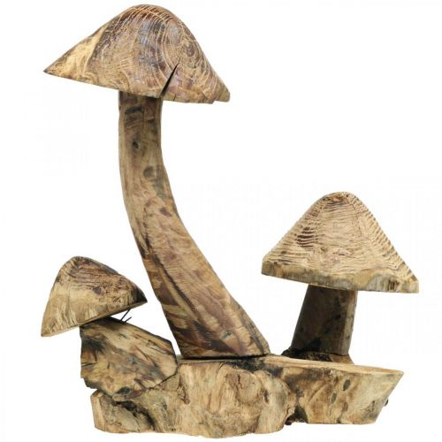 Floristik24 Pilzgruppe, Paulownia Holz, Herbstdeko, Holz-Skulptur H33cm L30cm