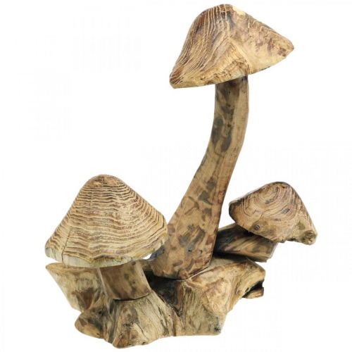 Floristik24 Pilzgruppe, Paulownia Holz, Herbstdeko, Holz-Skulptur H33cm L30cm