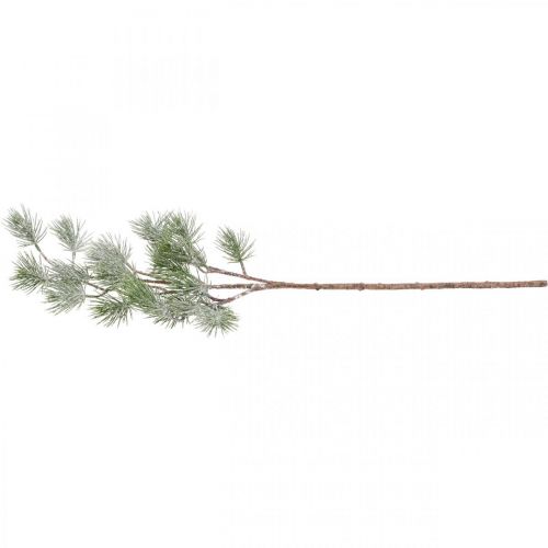 Floristik24 Weihnachtszweig Dekozweig Pinienzweig Beschneit 77cm