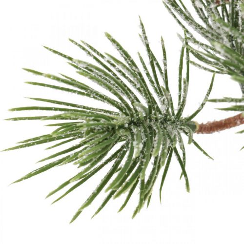 Floristik24 Weihnachtszweige künstlich Pinienzweig Beschneit 30cm 6St
