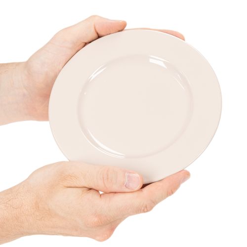 Teller aus Kunststoff rund 17cm Apricot 6 Stück Dekoration und Gestecke | Floristik24.at