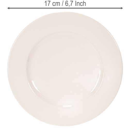 Teller aus Kunststoff rund 17cm Apricot 6 Stück Dekoration und Gestecke | Floristik24.at