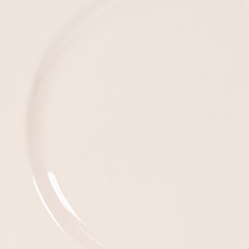 Teller aus Kunststoff rund 17cm Apricot 6 Stück Dekoration und Gestecke | Floristik24.at
