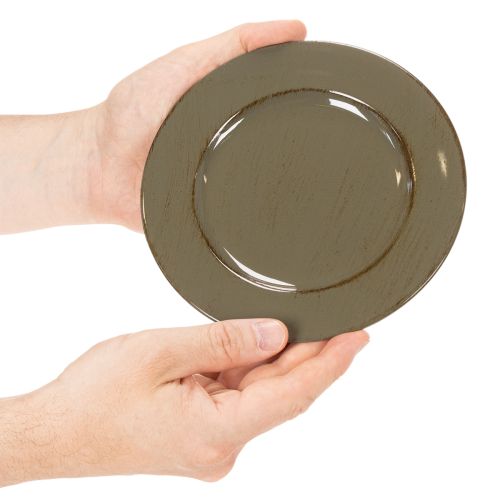Kleine Dekoteller Kunststoff 17cm dunkelgrün-braun 6er-Set | Floristik24.at