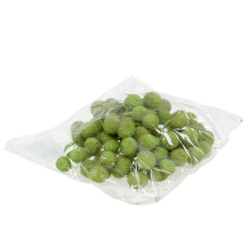 Floristik24 Platanen Früchte Grün 200g