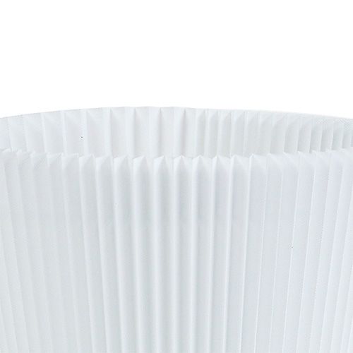 Floristik24 Plisseemanschetten Weiß 8,5cm 100 St
