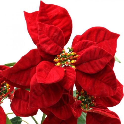 Floristik24 Künstlicher Weihnachtsstern Rot Stielblume 3 Blüten 85cm