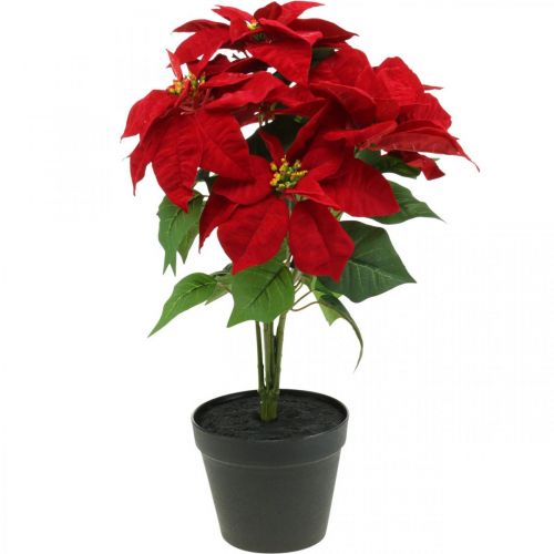 Floristik24.at Künstlicher Weihnachtsstern Rot Kunstblumen im Topf  H53cm-00710 | Kunstpflanzen