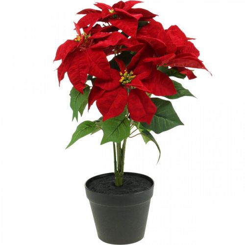 Kunstblumen im Rot Weihnachtsstern Künstlicher Topf H53cm-00710 Floristik24.at