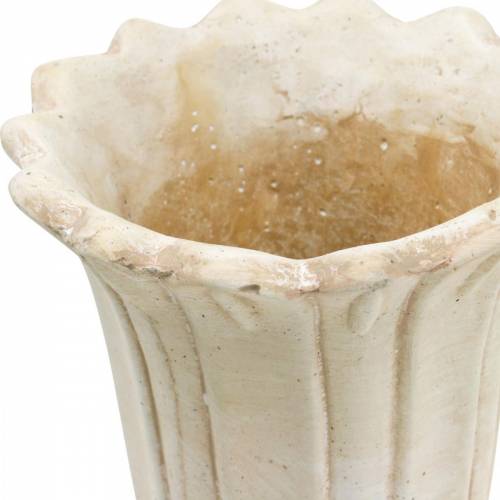 Floristik24 Deko-Amphore, Kelch zum Bepflanzen, Pokal-Tulpe Pflanzkrug Ø12cm H25,5cm 2St