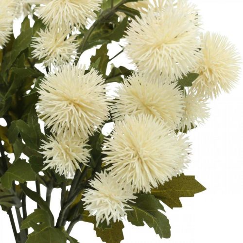 Floristik24 Pompomzweig Creme Deko Zweig Herbst 55cm 4St