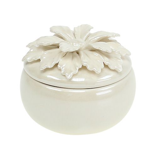 Floristik24 Porzellandose Creme Ø7,5cm H6cm