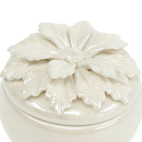 Floristik24 Porzellandose Creme Ø7,5cm H6cm