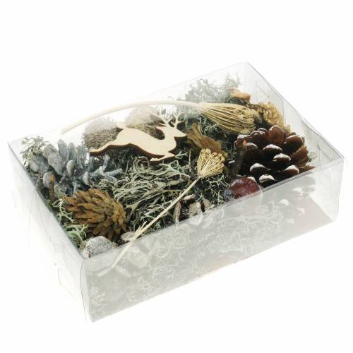 Floristik24 Trockenfloristik-Bastelset Advent Zapfen und Moos Weiß gewaschen 150g