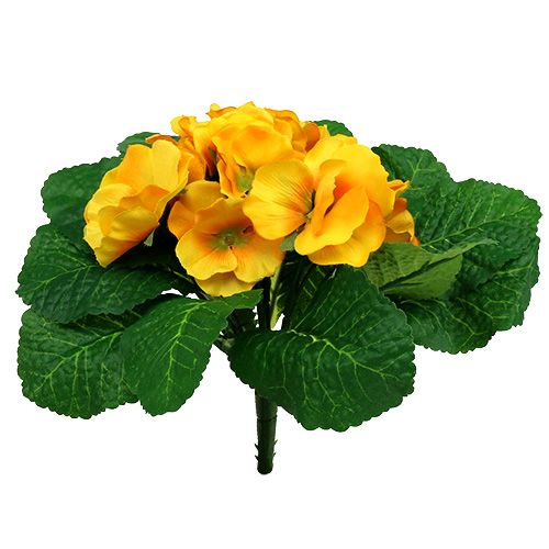 Floristik24 Primel 15cm Gelb