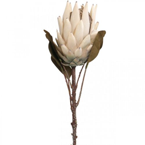 Protea Künstlich Verwelkt Drylook Beige Braun Grün 72cm