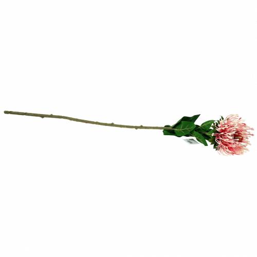 Artikel Protea Künstlich Rosa 73cm