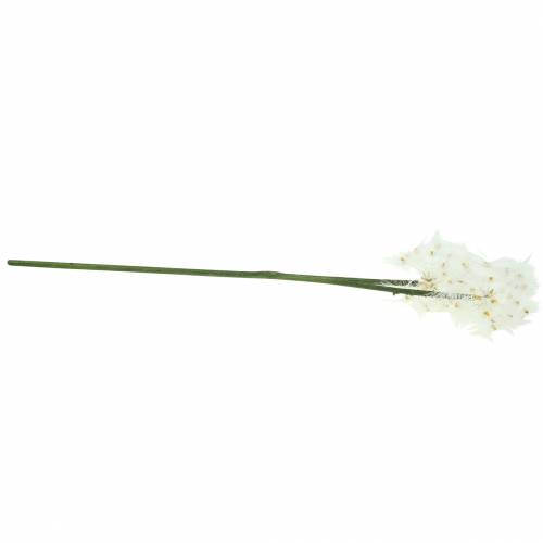 Floristik24 Künstliche Wiesenblume Riesenpusteblume Weiß 57cm