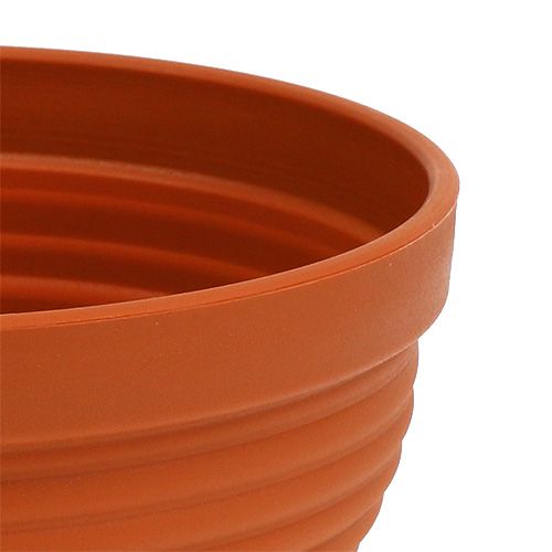 Floristik24 R-Schale Plastik Terrakotta Ø15cm, 10 St