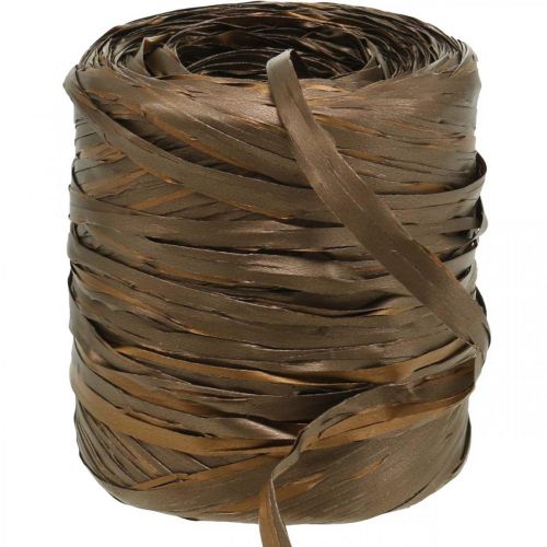 Floristik24 Raffia Band Braun Bicolor Geschenkband Dekoband 200m