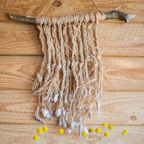 Floristik24 Muschel Mix Natur 3cm – 5cm 200g