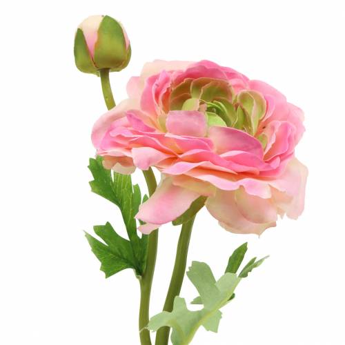 Floristik24 Ranunkel Blüte und Knospe künstlich Rosa 34cm