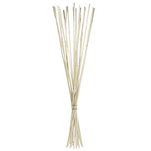 Floristik24 Rattan Stäbe weißgewaschen 100cm 20St