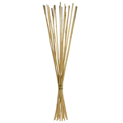Floristik24 Rattan Stiele 100cm Natur 20 St