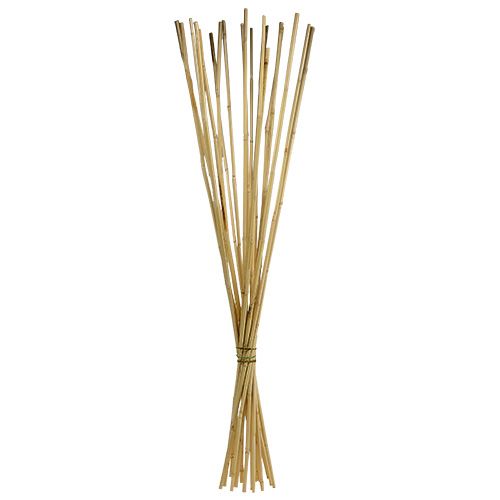 Floristik24 Rattan Stiele 100cm Natur 20St