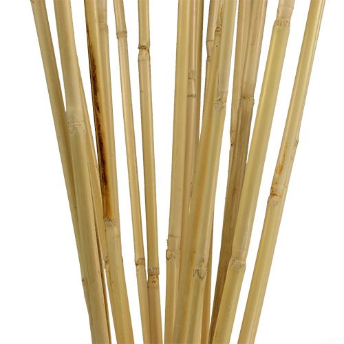 Floristik24 Rattan Stiele 100cm Natur 20 St