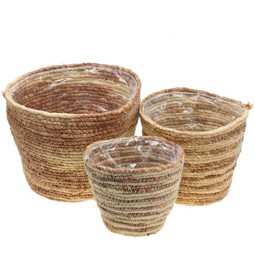 Pflanzkorb Rattan Natur/Braun Ø26/22/16cm 3St