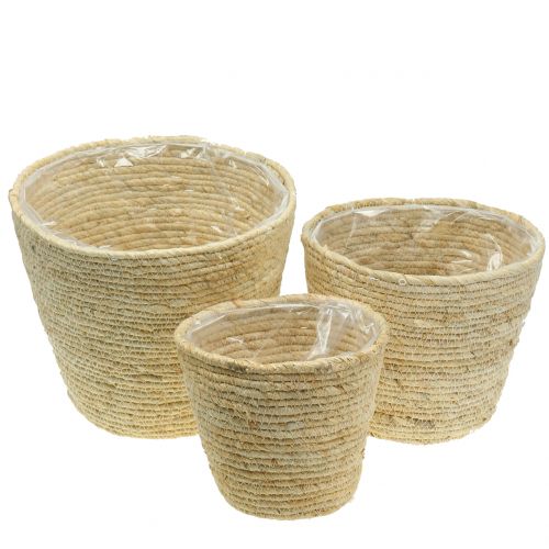 Floristik24 Pflanzkorb Rattan Natur Ø26/22/16cm 3St