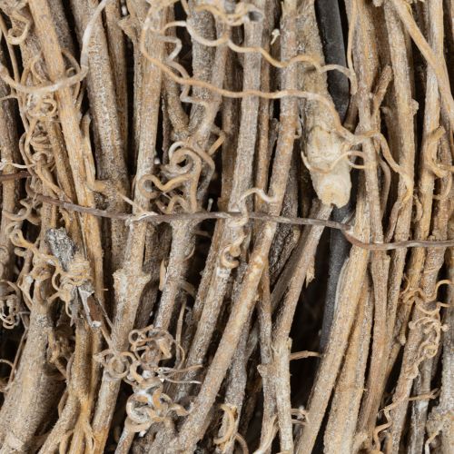 Dekokranz Rattan weiß