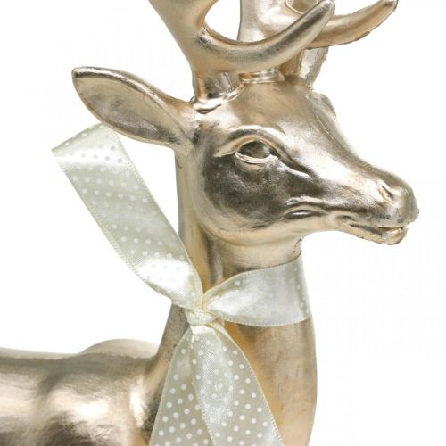 Floristik24 Dekofigur Hirsch Champagner Deko-Hirsch groß Weihnachten 47cm