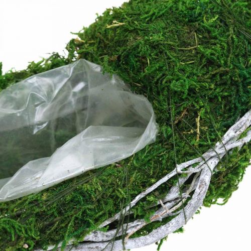 Floristik24 Mooskranz Pflanzring mit Reben und Moos Grün, Weiß Ø35cm