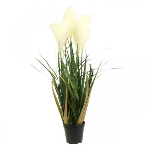 Floristik24 Riedgras im Topf Künstliche Topfpflanze Creme, Grün 79cm