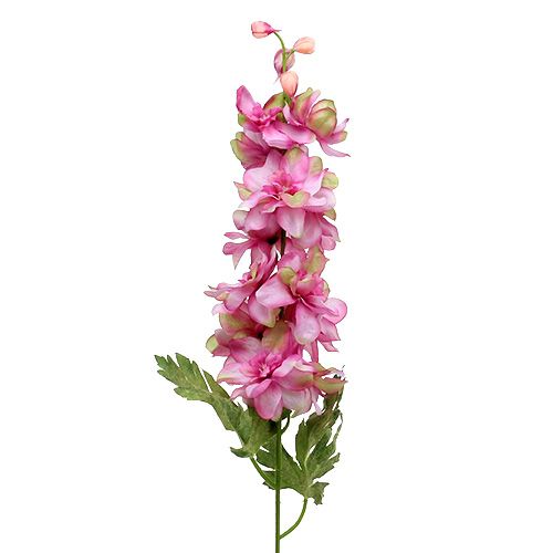 Floristik24 Rittersporn Pink 60cm