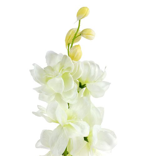 Floristik24 Rittersporn Weiß L60cm