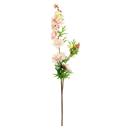 Rittersporn Delphinium  Hellrosa L95cm | Floristik24.at