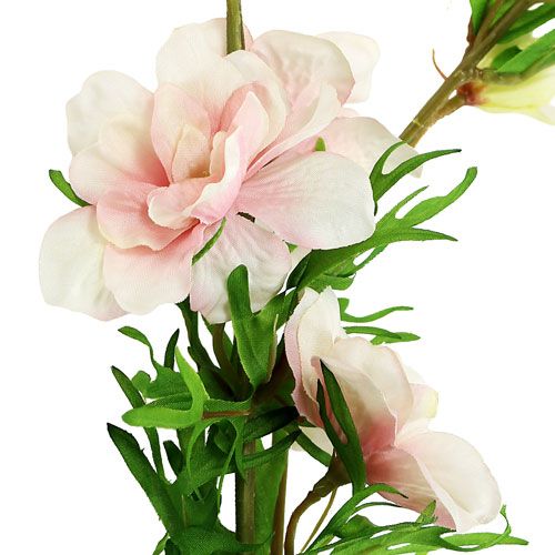 Rittersporn Delphinium  Hellrosa L95cm | Floristik24.at
