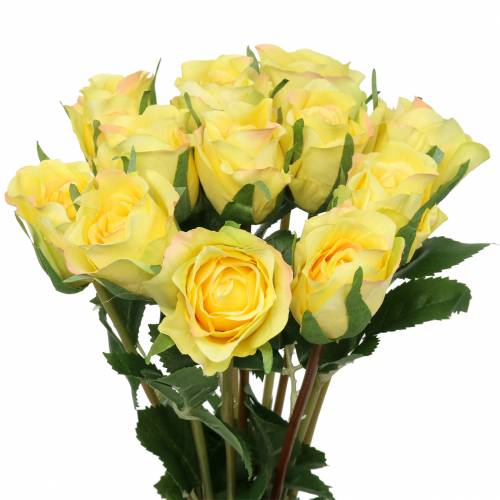 Rose Gelb 42cm 12St