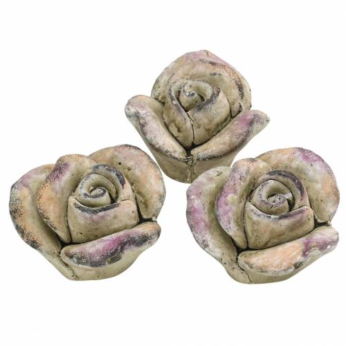 Floristik24 Beton-Rose Grau, Violett Ø7,7 H5,5cm 3 St