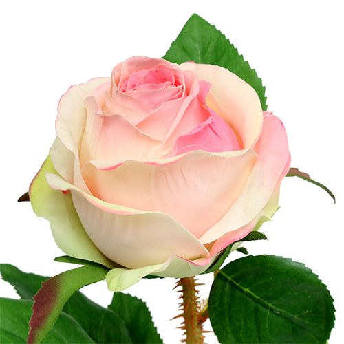 Floristik24 Rose künstlich Creme-Rosa Ø9cm L45cm 1St