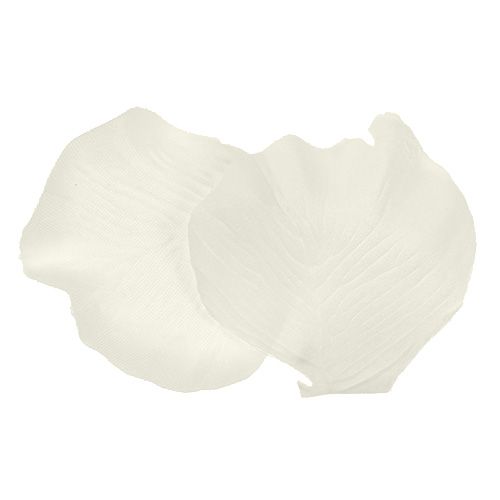Floristik24 Rosenblätter Creme 4,5cm 144St