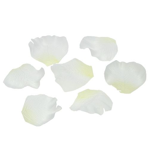 Floristik24 Rosenblätter Creme 75 St